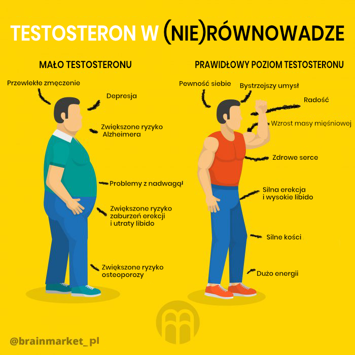 testosterov v nerovnovaze_pl